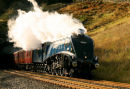 Sir Nigel Gresley